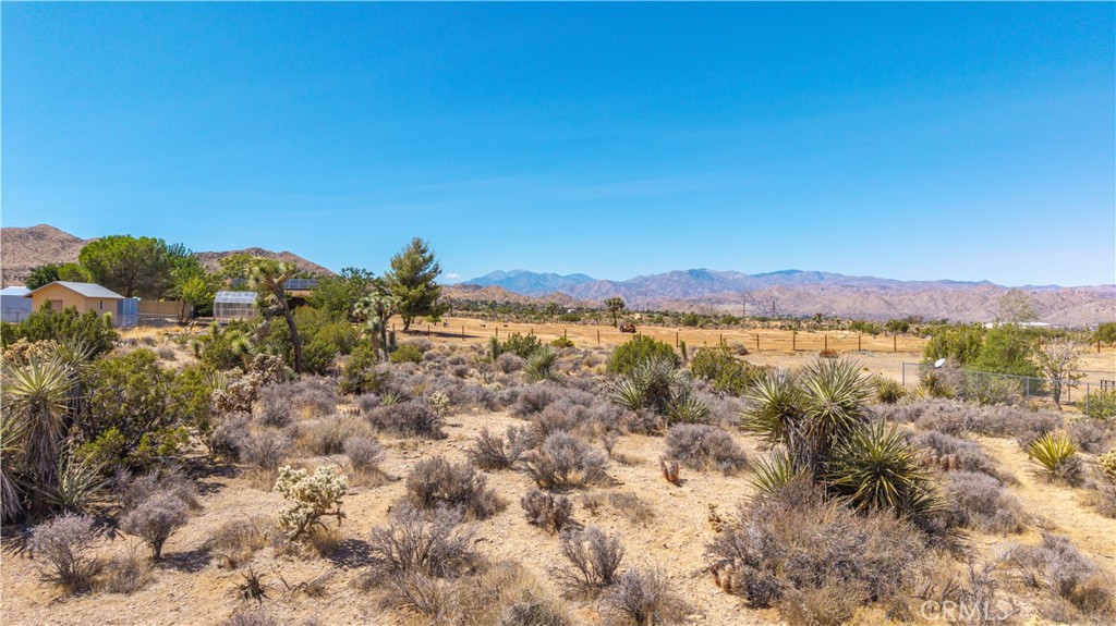 MLS #JT25216131 image #17