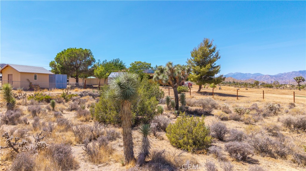 MLS #JT25216131 image #19