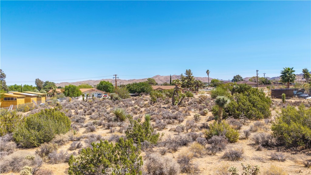 MLS #JT25216131 image #23