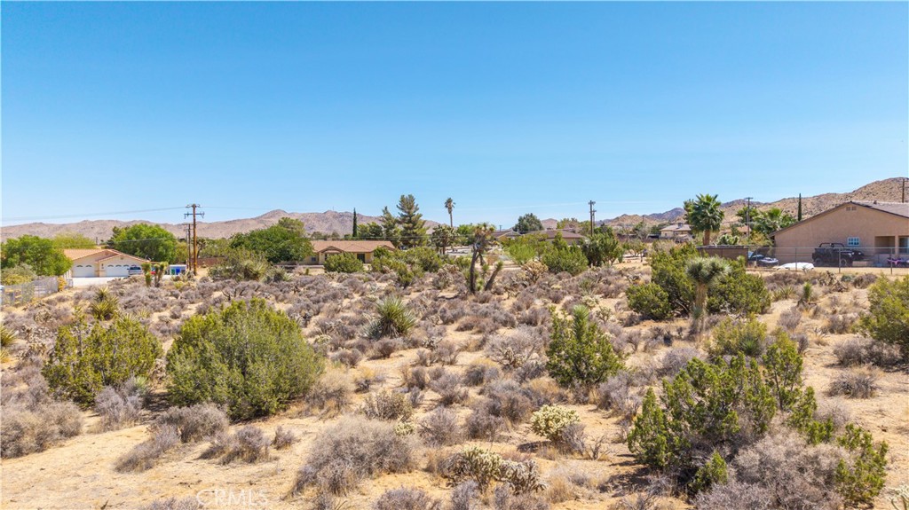 MLS #JT25216131 image #24