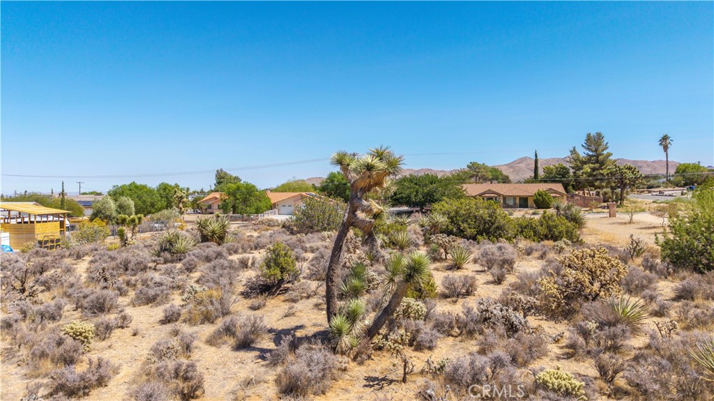 MLS #JT25216131 image #27