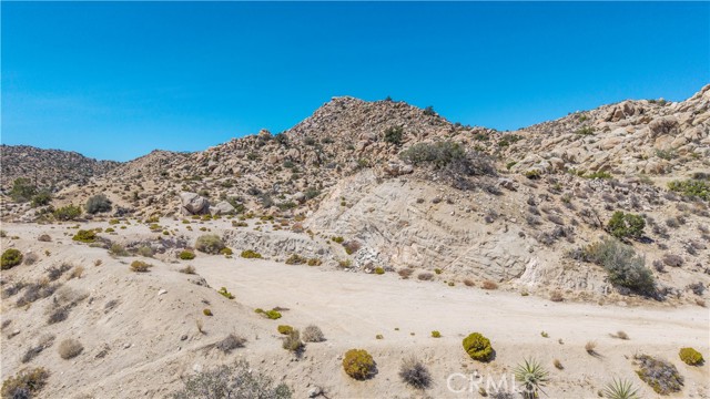 MLS #JT25216273 image #14