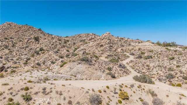 MLS #JT25216273 image #15