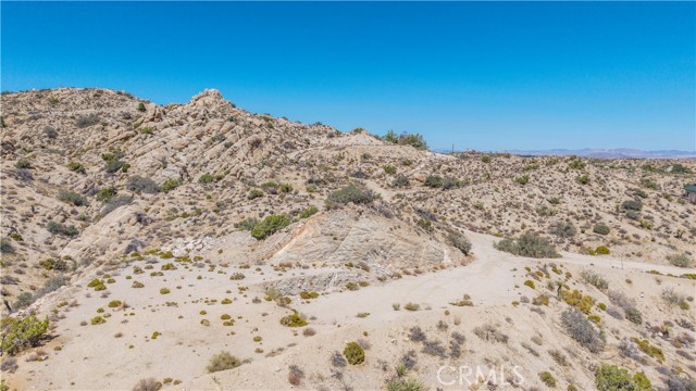 MLS #JT25216273 image #16