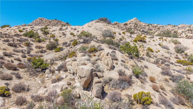 MLS #JT25216273 image #23