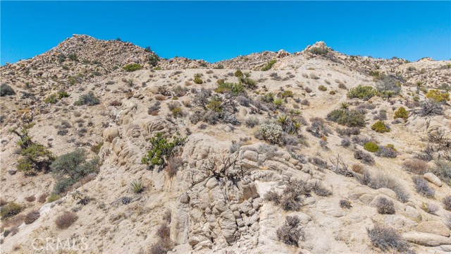 MLS #JT25216273 image #24