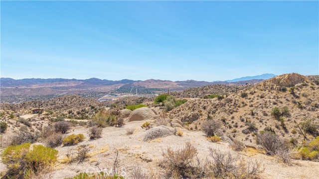 MLS #JT25216273 image #30