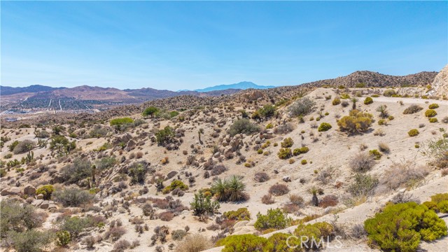 MLS #JT25216273 image #32