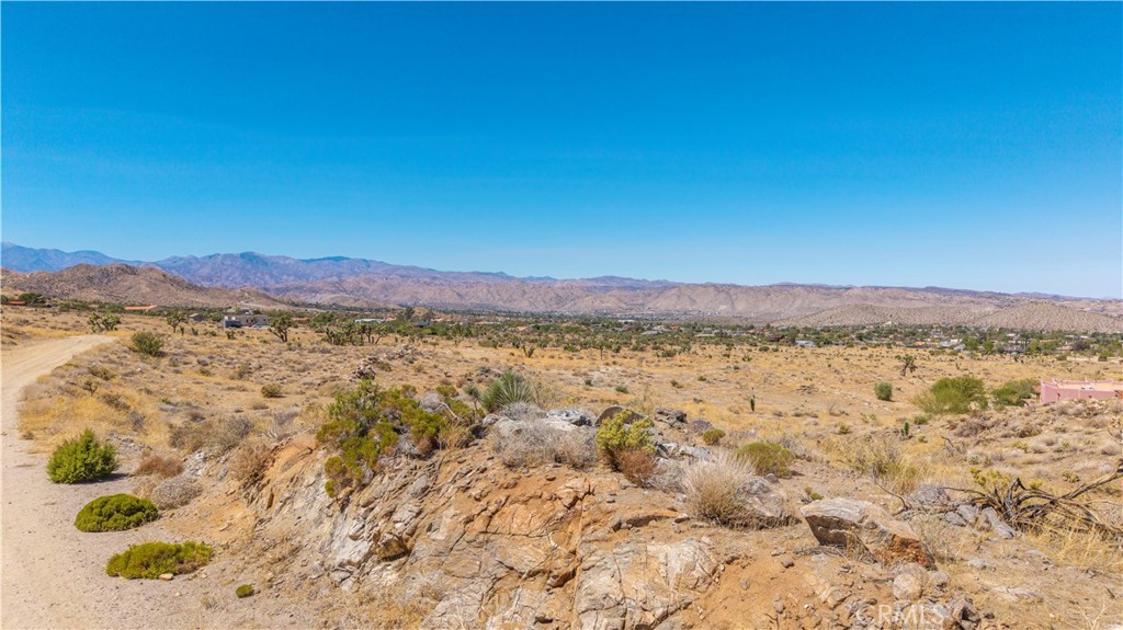 MLS #JT25216318 image #12