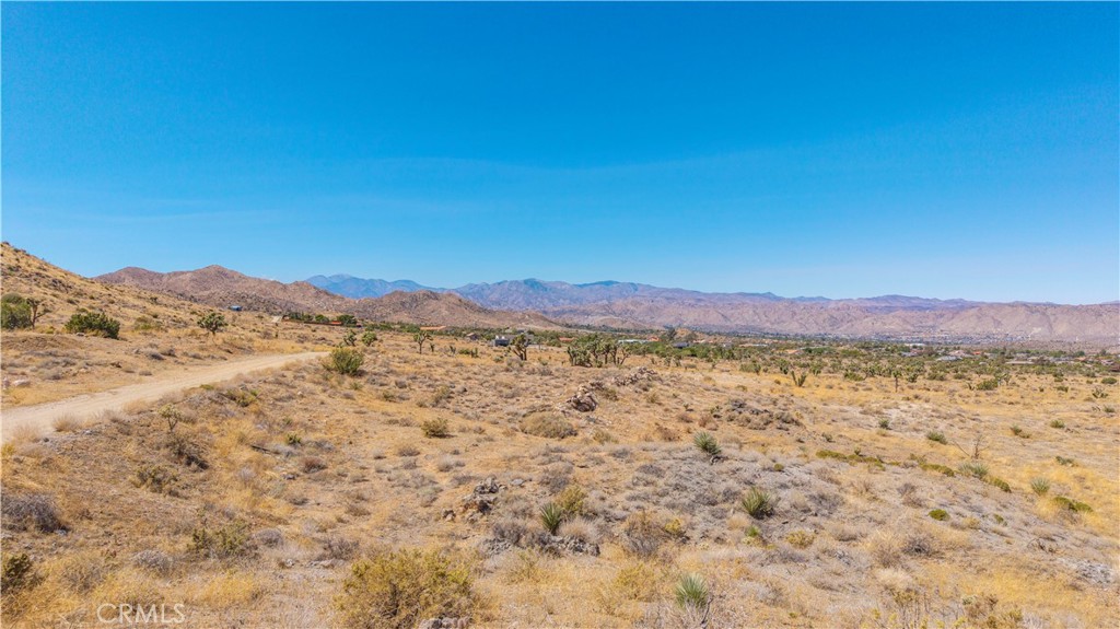 MLS #JT25216318 image #13