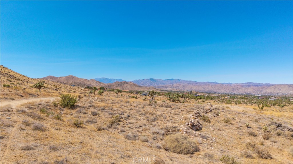 MLS #JT25216318 image #14