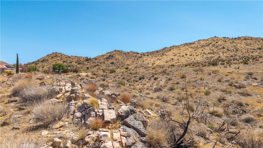 MLS #JT25216318 image #20