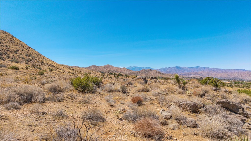 MLS #JT25216318 image #21