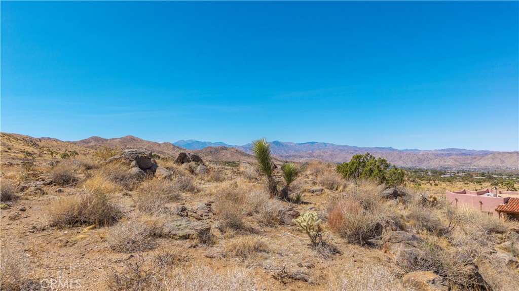 MLS #JT25216318 image #22