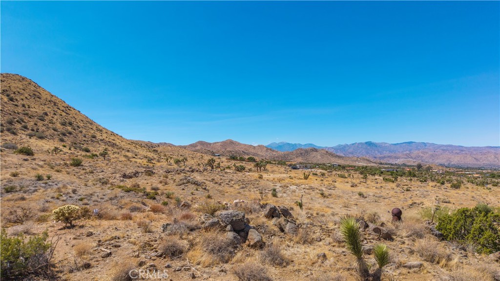 MLS #JT25216318 image #24