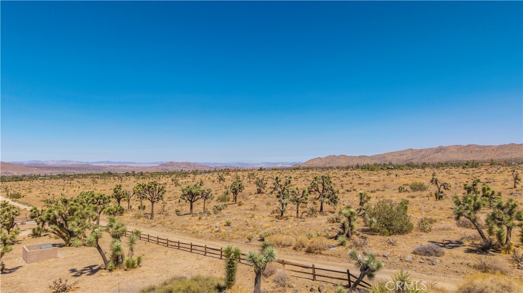 MLS #JT25216318 image #28