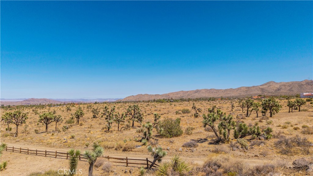 MLS #JT25216318 image #29