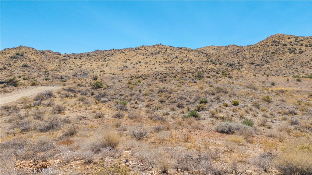 MLS #JT25216318 image #30