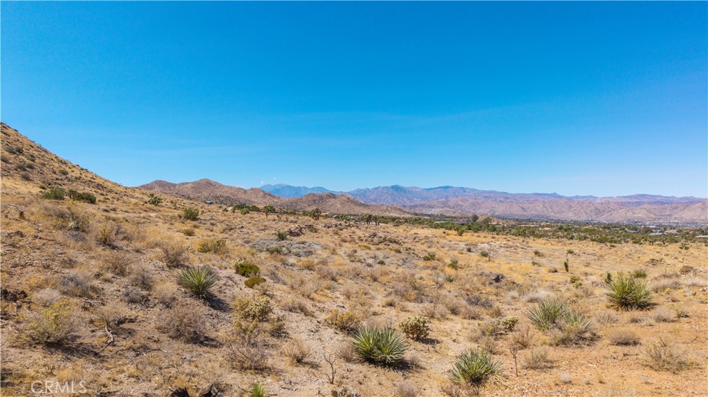 MLS #JT25216318 image #31