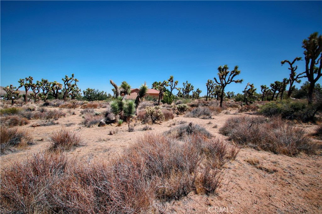 MLS #JT25216625 image #2