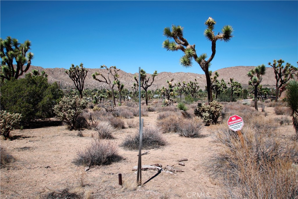 MLS #JT25216625 image #4