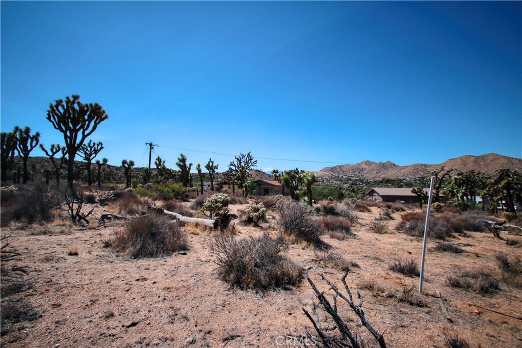 MLS #JT25216625 image #6