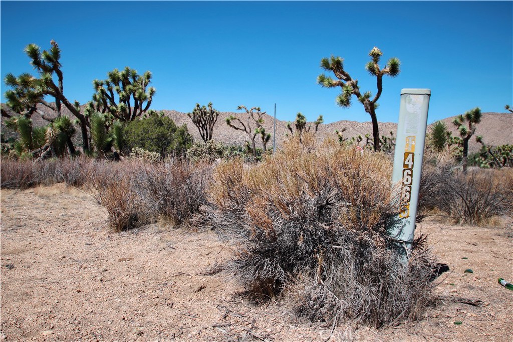 MLS #JT25216625 image #7