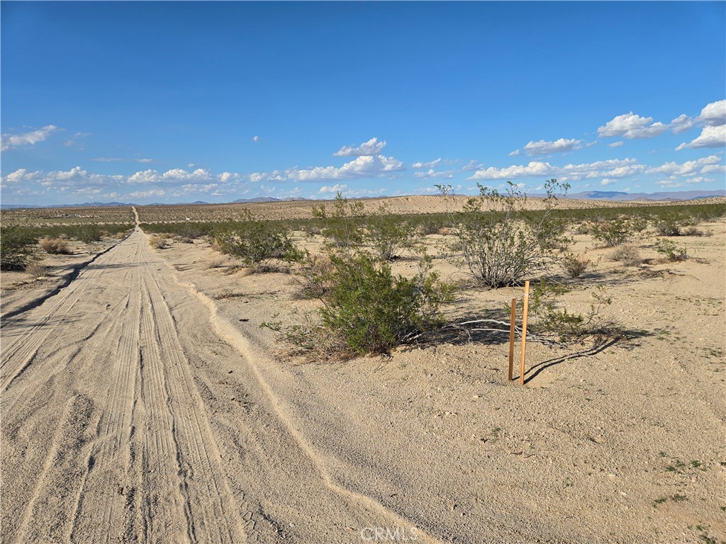 MLS #JT25217159 image #1