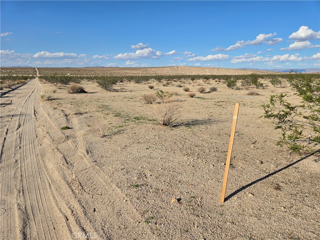 MLS #JT25217176 image #2