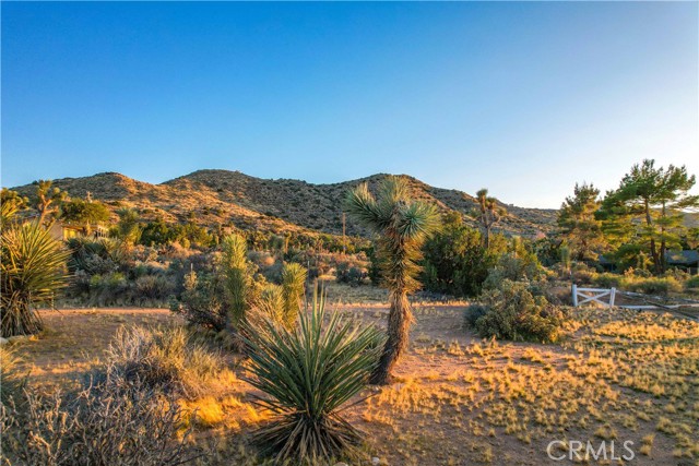 MLS #JT25217509 image #19