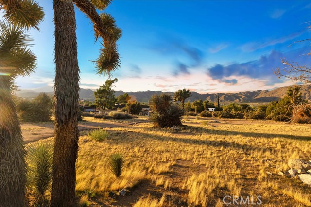 MLS #JT25217509 image #22