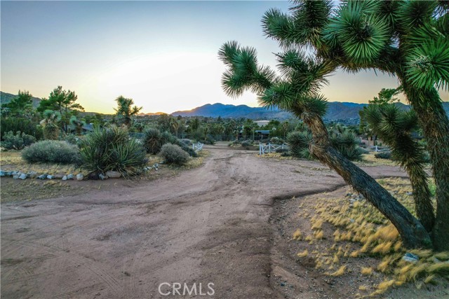 MLS #JT25217509 image #27