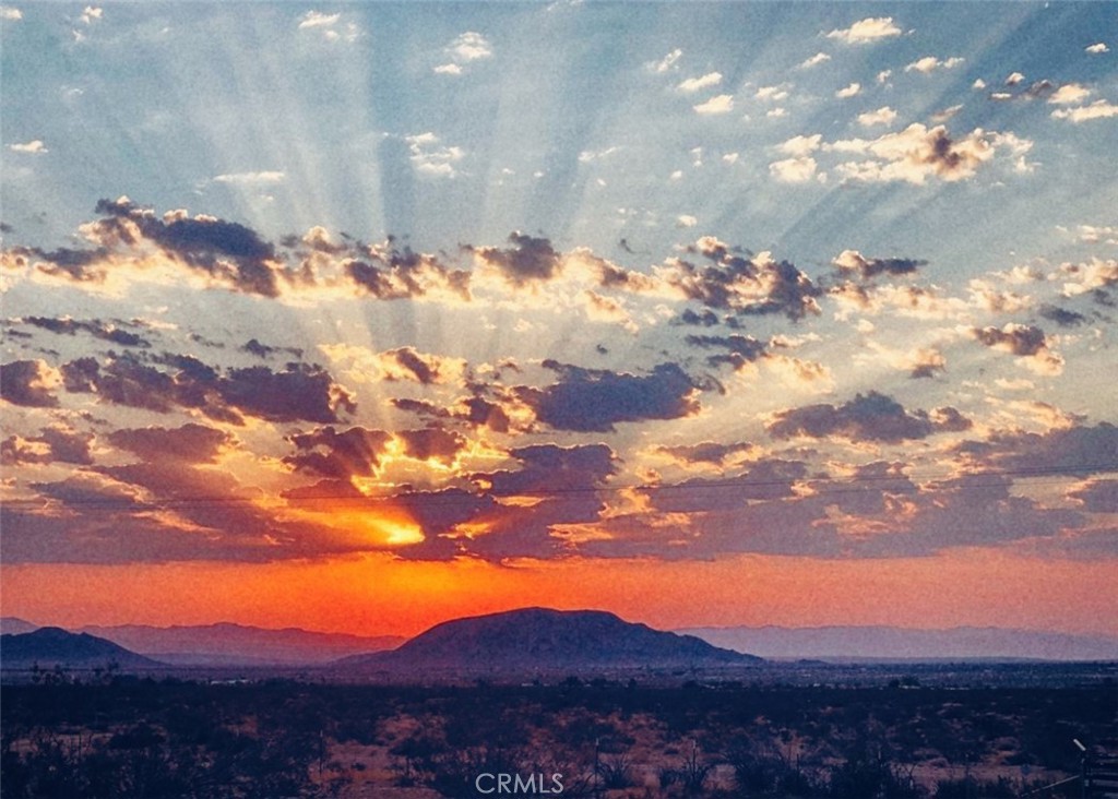 MLS #JT25219173 image #1