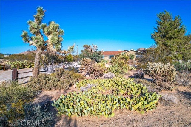 MLS #JT25219637 image #2