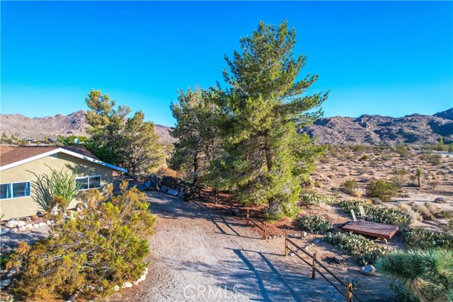 MLS #JT25219637 image #3