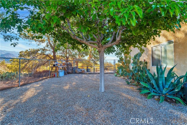 MLS #JT25219637 image #32