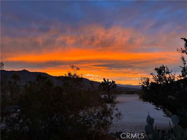 MLS #JT25219637 image #37