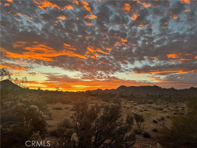 MLS #JT25219637 image #38