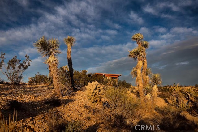 MLS #JT25220303 image #16