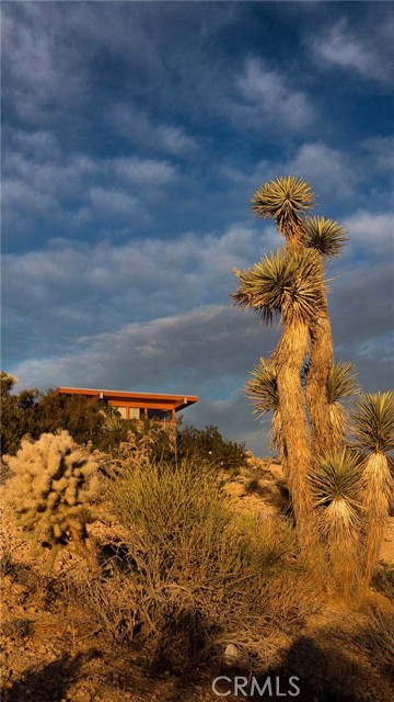 MLS #JT25220303 image #47