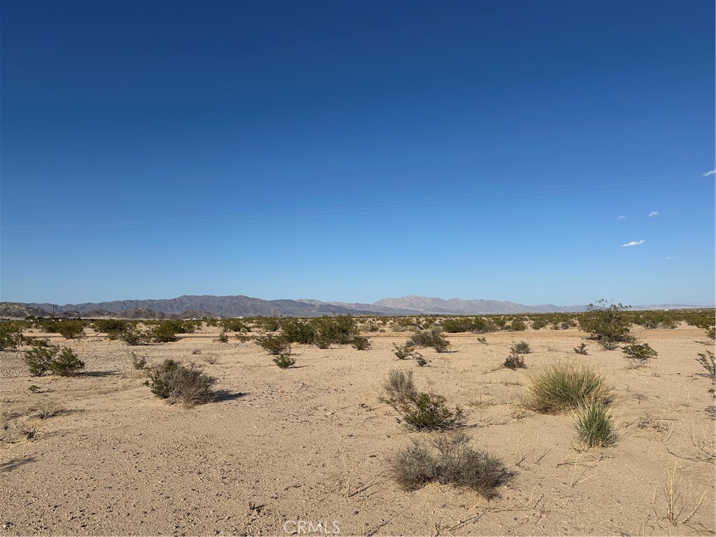 MLS #JT25220792 image #4