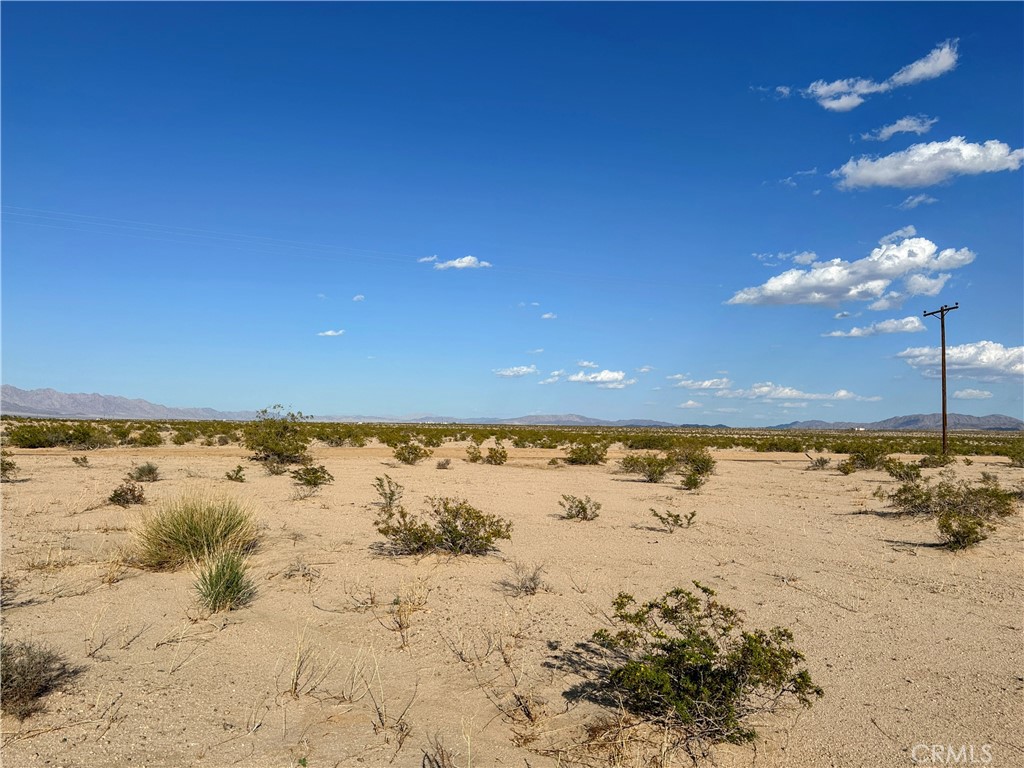 MLS #JT25220792 image #5