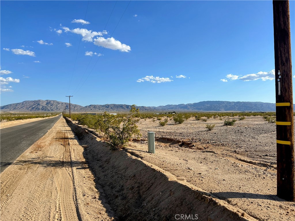 MLS #JT25220792 image #6