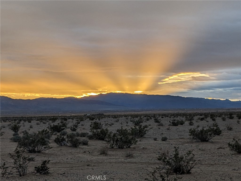 MLS #JT25221669 image #5