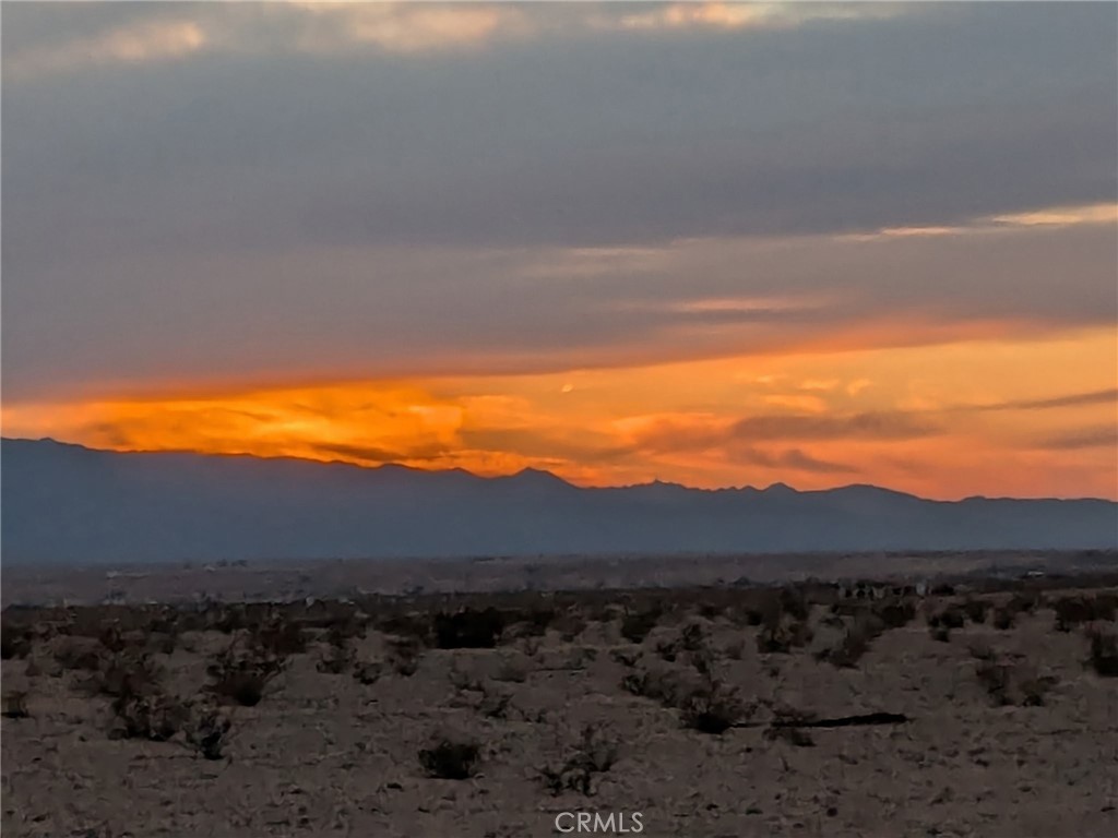 MLS #JT25221669 image #6