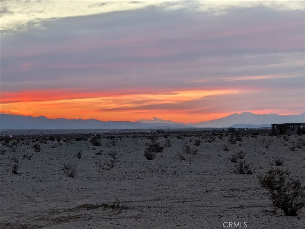 MLS #JT25221669 image #7