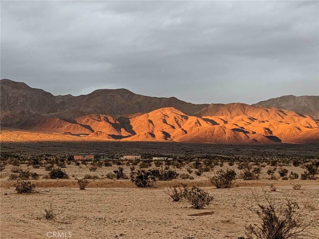 MLS #JT25221669 image #8