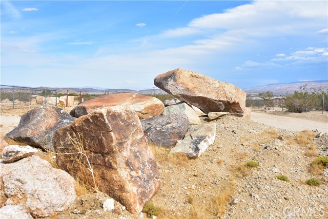 MLS #JT25222037 image #6