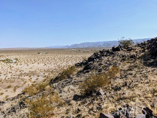 MLS #JT25222422 image #2