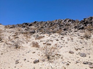 MLS #JT25222422 image #3